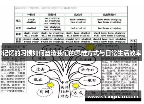 记忆的习惯如何塑造我们的思维方式与日常生活效率